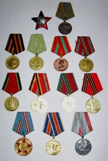 Награды Рафаила Месник