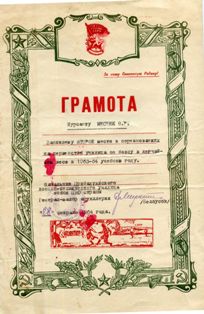 Почетная грамота Владимира Месник