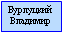 Бурлуцкий Владимир