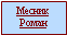 Месник Роман