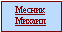 Месник Михаил