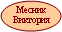 Месник Виктория
