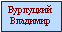 Бурлуцкий Владимир